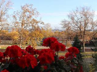 Alsóörs, Füredi utca 