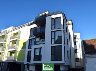 Charmante 2.Zimmer-Wohnung in absoluter Hofruhelage im Neubau aus 2022 - bis 2030 befristet vermietet (ca. 3,37% Rendite), 199900 €, Immobilien-Wohnungen in 1220 Donaustadt