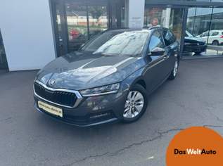 OCTAVIA Combi Business TDI DSG, 21900 €, Auto & Fahrrad-Autos in 8230 Hartberg