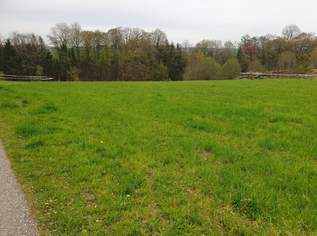 Schönes aufgeschlossenes Baugrundstück OHNE Bauverpflichtung !!!, 97300 €, Immobilien-Grund und Boden in 5133 Gilgenberg am Weilhart