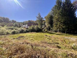 Rarität! Ca. 1.548 m² großes, ruhiges Grundstück - Stadtrandnähe, nur 10 Minuten vom LKH entfernt!, 399500 €, Immobilien-Grund und Boden in 8075 Hart bei Graz Rarität! Ca. 1.548 m² großes, ruhiges Grundstück - Stadtrandnähe, nur 10 Minuten vom LKH entfernt!, 399500 €, Immobilien-Grund und Boden in 8075 Hart bei Graz