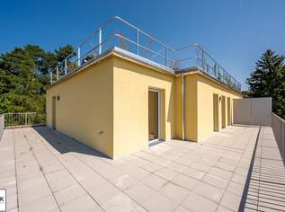 Wohnpark Neulengbach | Erstbezug | DG | 48 m² Terrasse, 389000 €, Immobilien-Wohnungen in 3040 Katastralgemeinde Neulengbach