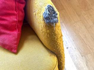 Gelbes 2-Sitzer Sofa - gebraucht, mit Beschädigung - gratis