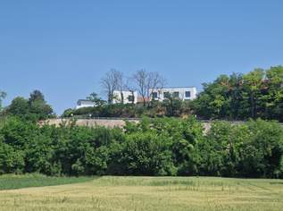 HERRLICHER AUSBLICK AN DER WAGRAMKANTE: MODERN, MASSIV & HOCHWERTIG WOHNEN IN DER WEINREGION MIT BESTER INFRASTRUKTUR, 420000 €, Immobilien-Häuser in 3463 Starnwörth HERRLICHER AUSBLICK AN DER WAGRAMKANTE: MODERN, MASSIV & HOCHWERTIG WOHNEN IN DER WEINREGION MIT BESTER INFRASTRUKTUR, 420000 €, Immobilien-Häuser in 3463 Starnwörth