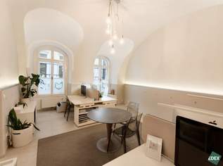 Kleines Büro in der Wiener Innenstadt, 1158.33 €, Immobilien-Gewerbeobjekte in 1010 Innere Stadt