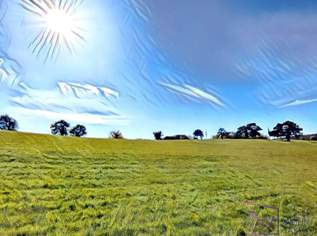 Traumlage Wienerwald: Baugrund mit Altbestand und Erweiterungspotenzial, 698000 €, Immobilien-Grund und Boden in 2384 Breitenfurt