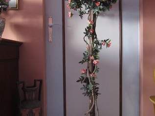 Diverse Deko,Rosenbusch,Vasen,etc.. - siehe Text, 10 €, Haus, Bau, Garten-Geschirr & Deko in 1120 Meidling Diverse Deko,Rosenbusch,Vasen,etc.. - siehe Text, 10 €, Haus, Bau, Garten-Geschirr & Deko in 1120 Meidling