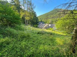 ZWISCHEN WALD UND WEITBLICK – ein Bungalow, der auf Ihre Handschrift wartet!, 397000 €, Immobilien-Häuser in 2534 Katastralgemeinde Maria Raisenmarkt ZWISCHEN WALD UND WEITBLICK – ein Bungalow, der auf Ihre Handschrift wartet!, 397000 €, Immobilien-Häuser in 2534 Katastralgemeinde Maria Raisenmarkt
