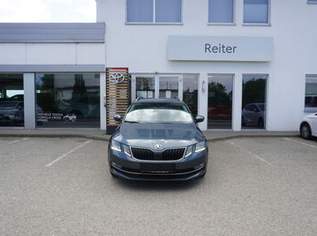 Octavia Combi 1,6 TDI *LED*HAK*SHZ*KAMERA*, 10990 €, Auto & Fahrrad-Autos in 4600 Wels