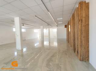 Werbewirksames Geschäftslokal / Showroom & Büro / in guter Frequenzlage, 1710 €, Immobilien-Gewerbeobjekte in 5322 Hof bei Salzburg Werbewirksames Geschäftslokal / Showroom & Büro / in guter Frequenzlage, 1710 €, Immobilien-Gewerbeobjekte in 5322 Hof bei Salzburg