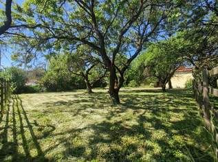 657m² Bauland zu kaufen!, 290000 €, Immobilien-Grund und Boden in 2512 Katastralgemeinde Tribuswinkel 657m² Bauland zu kaufen!, 290000 €, Immobilien-Grund und Boden in 2512 Katastralgemeinde Tribuswinkel