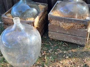 3 50l Glasbalon, 30 €, Marktplatz-Sammlungen & Haushaltsauflösungen in 7053 Hornstein