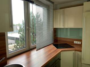 Schöne 1-Zimmer Wohnung in Ruhelage, 550 €, Immobilien-Wohnungen in Oberösterreich