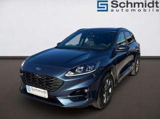 Kuga ST-Line 2,0 Eblue 120PS A8 AWD, 31990 €, Auto & Fahrrad-Autos in 5231 Schalchen