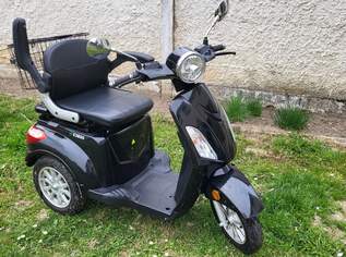 Luxxon E3600 - E-Roller I neuer Akku, nur 4 km seit Tausch! Top Zustand!, 1450 €, Auto & Fahrrad-Motorräder in 2491 Neufeld an der Leitha