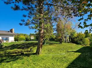 Ein Anwesen mit Potenzial – Großzügiges Wohnen in bester Lage von Bad Fischau, 497000 €, Immobilien-Häuser in 2721 Bad Fischau
