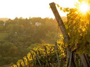 Erstbezug - Traumhaftes Penthouse mit Dachgarten und eigenem Pool, 4490000 €, Immobilien-Wohnungen in 1190 Döbling