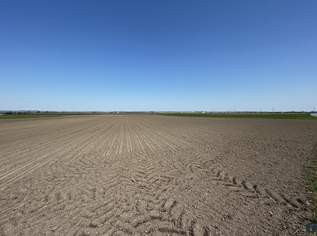 Landwirtschaftliche Flächen zu verkaufen, 93300 €, Immobilien-Grund und Boden in 3474 Kollersdorf