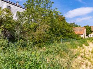 1.014 M² GROßES BAUGRUNDSTÜCK MIT ALTBESTAND IM ZENTRUM!, 279200 €, Immobilien-Grund und Boden in 2020 Hollabrunn 1.014 M² GROßES BAUGRUNDSTÜCK MIT ALTBESTAND IM ZENTRUM!, 279200 €, Immobilien-Grund und Boden in 2020 Hollabrunn