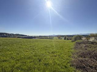 Attraktives Gewerbegrundstück in Frequenzlage, 2715700 €, Immobilien-Gewerbeobjekte in 4870 Vöcklamarkt Attraktives Gewerbegrundstück in Frequenzlage, 2715700 €, Immobilien-Gewerbeobjekte in 4870 Vöcklamarkt