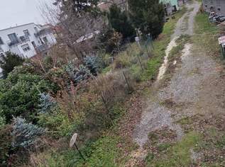 Ziegelhofstraße - Schönes Grundstück in Siedlungslage mit Abbruchhaus, 375000 €, Immobilien-Grund und Boden in 1220 Donaustadt Ziegelhofstraße - Schönes Grundstück in Siedlungslage mit Abbruchhaus, 375000 €, Immobilien-Grund und Boden in 1220 Donaustadt