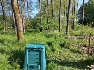Kleingärten pachten am Wasser, 59 €, Immobilien-Grund und Boden in 8082 Kirchbach-Zerlach