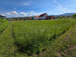 Ebenes & sonniges Baugrundstück in der Südsteiermark!, 49000 €, Immobilien-Grund und Boden in 8455 Oberhaag