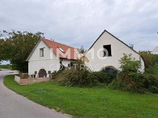 Historisches Kellerstöckl mit Seeblick und Wohneinheit, 250000 €, Immobilien-Häuser in 7091 Gemeinde Breitenbrunn Historisches Kellerstöckl mit Seeblick und Wohneinheit, 250000 €, Immobilien-Häuser in 7091 Gemeinde Breitenbrunn