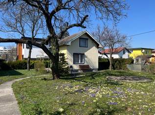 Gartenparadies mit Kleingartenhäuschen - NICHT zur ganzjährigen Nutzung, 580 €, Immobilien-Häuser in 1210 Floridsdorf Gartenparadies mit Kleingartenhäuschen - NICHT zur ganzjährigen Nutzung, 580 €, Immobilien-Häuser in 1210 Floridsdorf