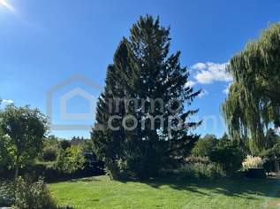 Sonniges Baugrundstück mit Biotop, Altbaumbestand und Doppelgarage in 2753 Dreistetten, 169500 €, Immobilien-Grund und Boden in 2753 Dreistetten Sonniges Baugrundstück mit Biotop, Altbaumbestand und Doppelgarage in 2753 Dreistetten, 169500 €, Immobilien-Grund und Boden in 2753 Dreistetten