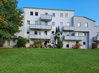 Singlehit in Mariatrost | ab sofort verfügbar | Mariatroster Straße 101b Top 10, 514.41 €, Immobilien-Wohnungen in 8043 Singlehit in Mariatrost | ab sofort verfügbar | Mariatroster Straße 101b Top 10, 514.41 €, Immobilien-Wohnungen in 8043