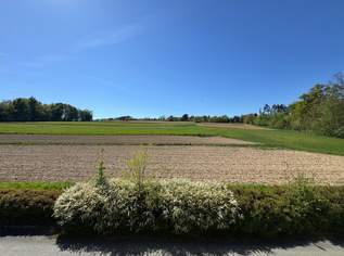 Gepflegtes Einfamilienhaus mit Garten in ruhiger Siedlungslage am Ortsrand von Ollersdorf Gepflegtes Einfamilienhaus mit Garten in ruhiger Siedlungslage am Ortsrand von Ollersdorf