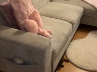 Sofa , 300 €, Haus, Bau, Garten-Möbel & Sanitär in 3500 Krems an der Donau Sofa , 300 €, Haus, Bau, Garten-Möbel & Sanitär in 3500 Krems an der Donau