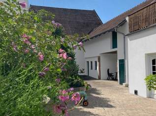 Arbeiten und wohnen in einen Haus mit Halle in ruhiger Wohnlage in Rust am See !, 350000 €, Immobilien-Häuser in 7071 Rust Arbeiten und wohnen in einen Haus mit Halle in ruhiger Wohnlage in Rust am See !, 350000 €, Immobilien-Häuser in 7071 Rust