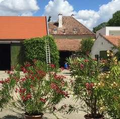 Top Lage in 2401 Fischamend, 777777 €, Immobilien-Grund und Boden in 2401 Gemeinde Fischamend
