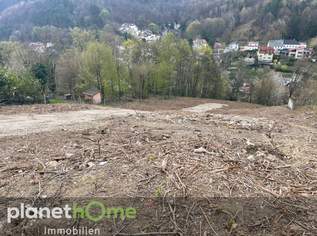 Grundstück in Hanglage in Kaltenleutgeben, 460000 €, Immobilien-Grund und Boden in 2391 Gemeinde Kaltenleutgeben