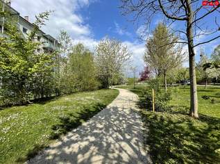 Nachhaltiges Wohnen am Mörikeweg dank effizientem Energiekonzept mit Deckentemperierung, 355440 €, Immobilien-Wohnungen in Oberösterreich