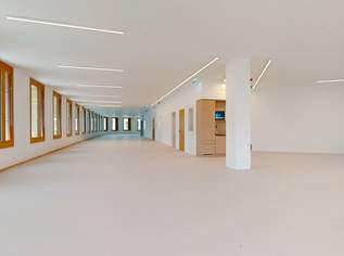 ROBIN Seestadt - Innovative Büroflächen in Wiens modernstem Stadtquartier, 5135 €, Immobilien-Gewerbeobjekte in 1220 Donaustadt ROBIN Seestadt - Innovative Büroflächen in Wiens modernstem Stadtquartier, 5135 €, Immobilien-Gewerbeobjekte in 1220 Donaustadt