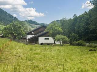 Einmaliges Ambiente - Das ist Entschleunigung pur!, 295000 €, Immobilien-Häuser in 2734 Gemeinde Puchberg am Schneeberg