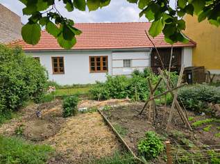 Herzallerliebstes Kleinod - ehemaliger Bauernhof im Weinviertel, 349000 €, Immobilien-Häuser in 2154 Kleinbaumgarten