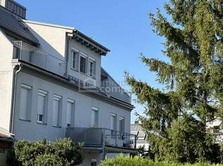 Der Traum der Alten Donau **Penthousewohnung in absoluter Ruhelage**, 1500000 €, Immobilien-Wohnungen in 1210 Floridsdorf