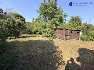 Großes Baugrundstück 1074m² in 1220 Wien – *EIGENGRUND*, 930000 €, Immobilien-Grund und Boden in 1220 Donaustadt Großes Baugrundstück 1074m² in 1220 Wien – *EIGENGRUND*, 930000 €, Immobilien-Grund und Boden in 1220 Donaustadt
