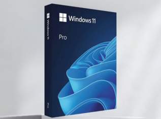 Windows 11 Pro 64 Bit Vollversion Sofortdownload und Produktschlüssel