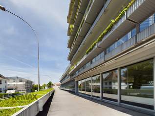 Attraktives Geschäftslokal in hochfrequentierter Lage, 0 €, Immobilien-Gewerbeobjekte in 6900 Bregenz Attraktives Geschäftslokal in hochfrequentierter Lage, 0 €, Immobilien-Gewerbeobjekte in 6900 Bregenz