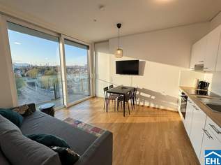 LEBEN IM TRIIIPLE - wunderschöne 2 Zimmerwohnung mit Rooftop Pool - STADT. LAND. FLUSS., 990 €, Immobilien-Wohnungen in 1030 Landstraße