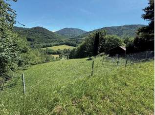 "Wald und Grünland!", 6000 €, Immobilien-Gewerbeobjekte in 2640 Eichberg "Wald und Grünland!", 6000 €, Immobilien-Gewerbeobjekte in 2640 Eichberg
