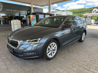 Octavia Combi 2,0 TDI Style DSG Leder-Matrix-Kamera, 14290 €, Auto & Fahrrad-Autos in 4221 Steyregg