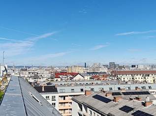 FERNBLICK, TERRASSENHIT, 61 m2 Dachgeschoß mit 48 m2 Terrasse, Wohnküche, 1 Zimmer, Wannenbad, Parketten, Holbeingasse, 998.98 €, Immobilien-Wohnungen in 1100 Favoriten