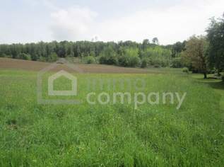 Schöne Baugründe am Ortsrand von Güssing, 0 €, Immobilien-Grund und Boden in 7540 Gemeinde Güssing Schöne Baugründe am Ortsrand von Güssing, 0 €, Immobilien-Grund und Boden in 7540 Gemeinde Güssing