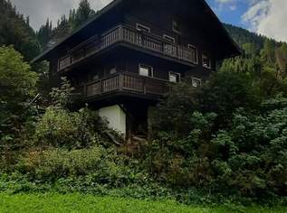 Rarität ! Ferienhaus im wunderschönen Defereggental, 0 €, Immobilien-Häuser in 9963 St. Jakob